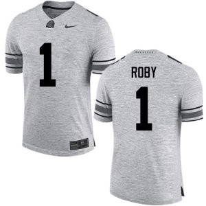 NCAA Ohio State Buckeyes Men's #1 Bradley Roby Gray Nike Football College Jersey JUG4645HC